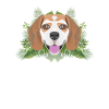 Tropical Beagle