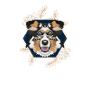 Golden Dog Australian Shepherd