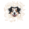 Golden Dog Australian Shepherd