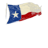 Texan Sayings Texas Pride