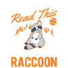 Raccoon Gift Raccoon