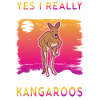 Australian Kangaroo Australia Kangaroo