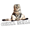 Cat Chill times