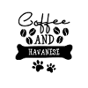 Coffee and havanese