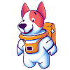 Astronaut dog
