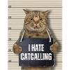I Hate Catcalling
