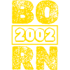Year 2002