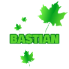 Fortwirt Bastian