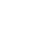 Witzig 1960