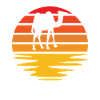 Camel Retro