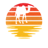 Camel Retro