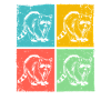 Waschbär Pop Art Tier