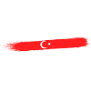 I´m not yelling I´m Turkish