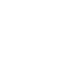 GEEK