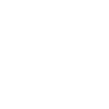 Limited Edition 1966