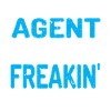Insurance Agent