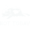 Not today lazy cat