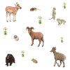 Animals in the mountains