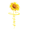 Sonnenkönig