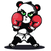 Boxender Panda im Ring