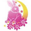 Rabbit Moon Stars Rabbit