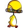 birdy yellow bird nerd