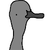 cygnet