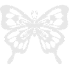 Fjäril Papillon