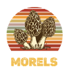 Mushroom pickers and mushroom friends