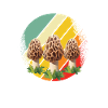 Mushroom pickers and mushroom friends