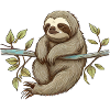 Chilled Sloth