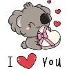 Koala I love you