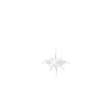 Coordinates St. Gallen
