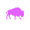 Buffalo Bison Ox Indian American