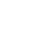 The English teacher