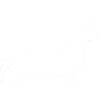 Unidackel