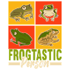 Frog Amphibians Frogs
