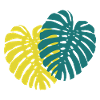 Monstera Leaf
