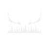 Hunting Hunter Hunting Deer