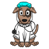 Veterinarian