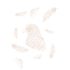 Adler Design