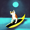 Lustiger Katzen-Surfer bei Vollmond