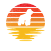 Caniche Rétro