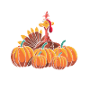 Thanksgiving Pumpkin