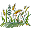 Pré