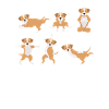 Yoga Dog