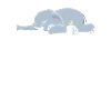 Offizielles Schlafshirt Elefant