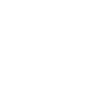 Retired Ninja
