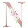 Personalisierbar Monogramm N Floral