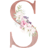 Customizable Monogram S Floral